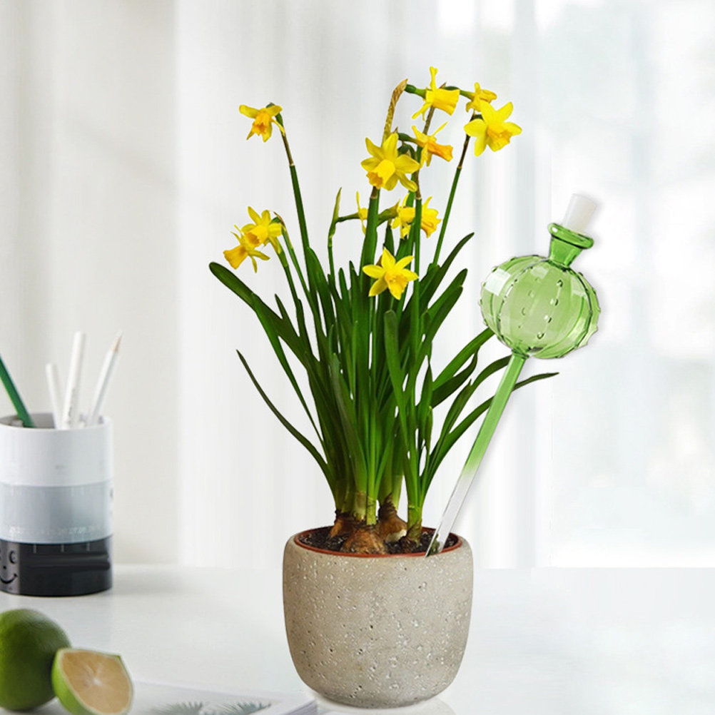 Automatic Plant Waterer - 실내외 식물용 자동 급수 장치, 대용량,